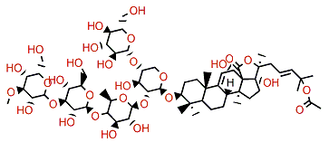 Holothurinoside B